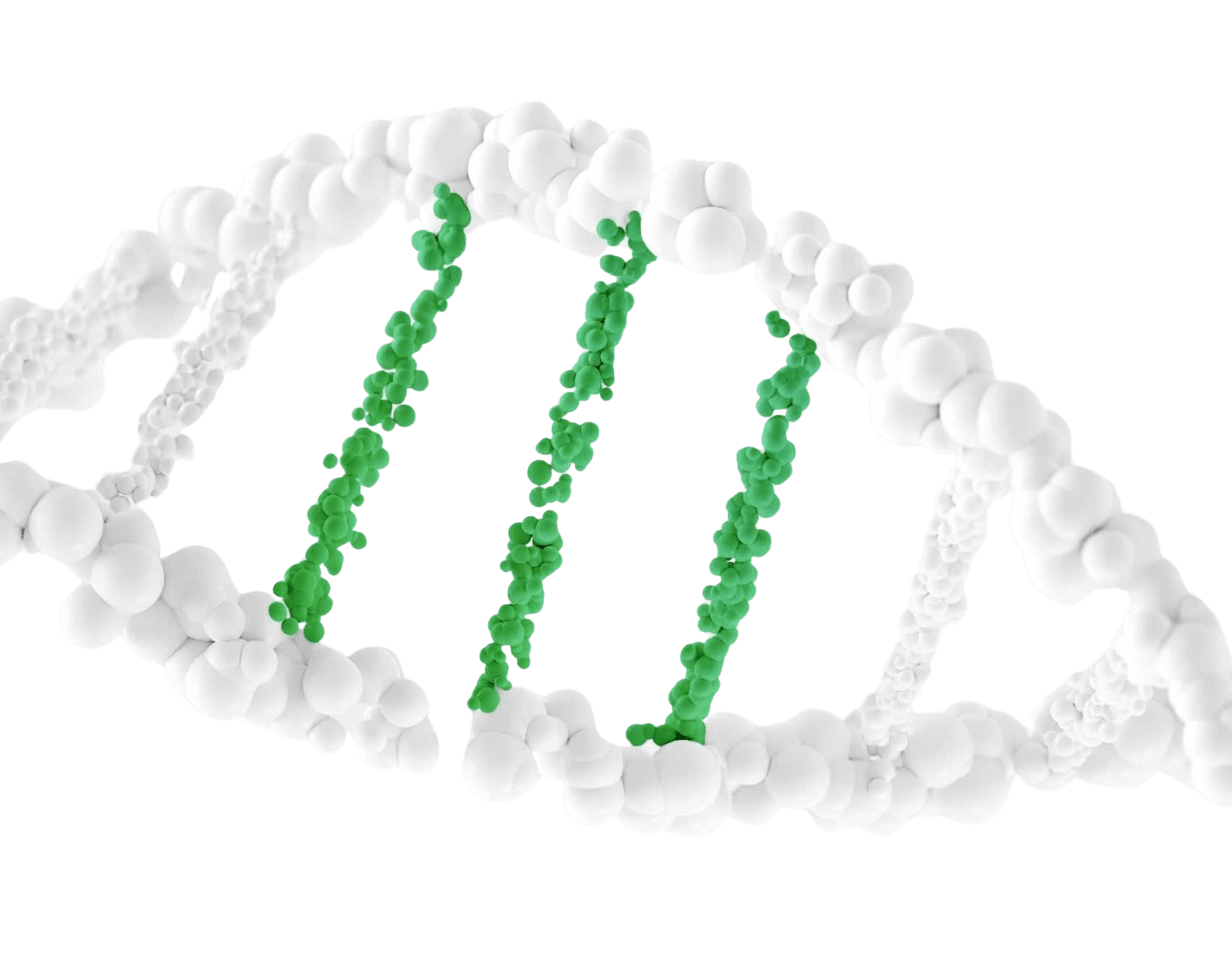 dna